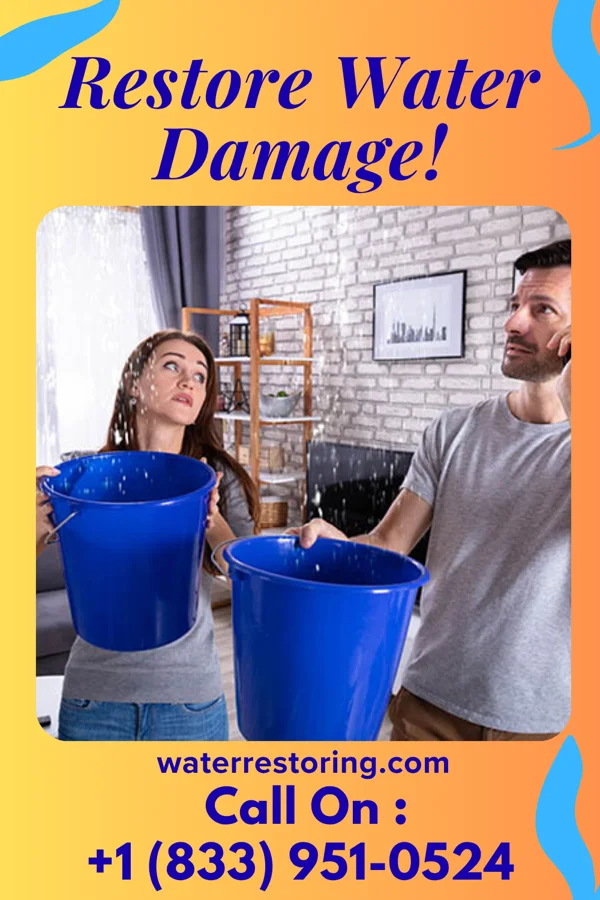 water restoration Apex Water Works Contractors Madison Heights