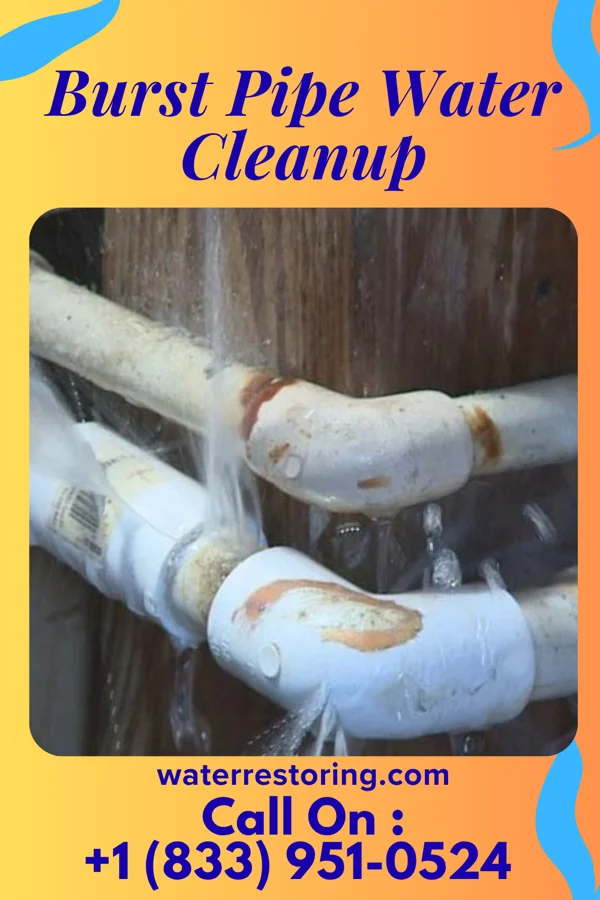 Burst Pipe Water Cleanup in Madison Heights, MI