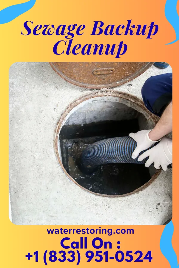 Sewage Backup Cleanup in Madison Heights, MI