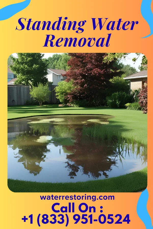 Standing Water Removal in Madison Heights, MI